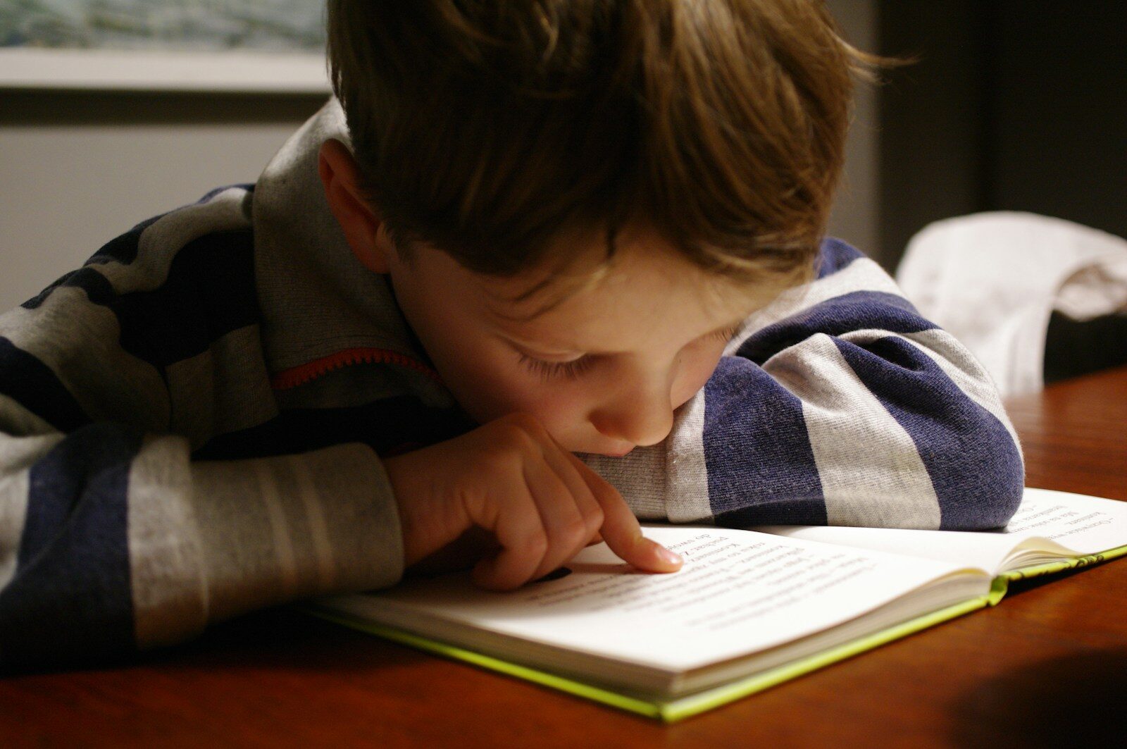 A child uses a laptop for a session with an online writing tutor service in San Diego, CA.